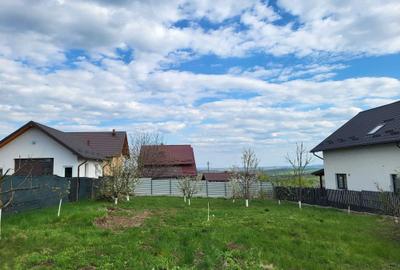Teren de 900 mp, în Moara - 3