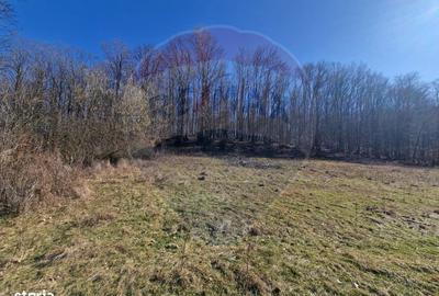 Teren de 4985 mp, în Sascut - 10