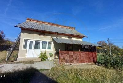 0% COMISION!!! CASA CU LAC IN INIMA PADURII  - DEALU BRADULUI - 2