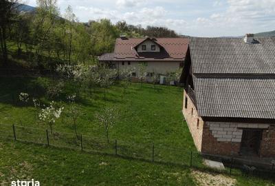 Casă cu 4 camere cu Teren 9000 Mp în Central - 3