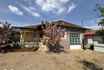 Casă cu 4 camere cu Teren 5526 Mp în Cociuba Mare - 18