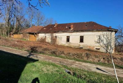 Vand Casa-Conac in Zgribesti -Timis - 5