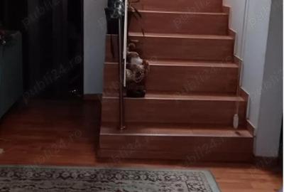 Casă cu 1 camere în Central - 3