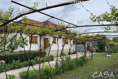 Casa 4 Camere + Teren (6500mp) si Anexe, Turcinesti - 3