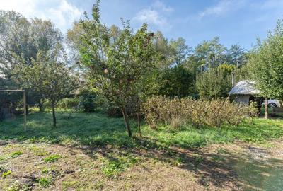 Proprietate rara in Covasna - liniste, spatiu si potential de investitie - 34