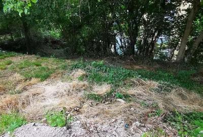 Teren Moroasa 1000 mp intravilan negociabil - 10