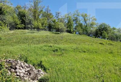 Casa de Familie | 175 mp + Curte 3166 mp | Tatara?ti, B - 11