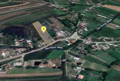 Teren intravilan Petia - 3