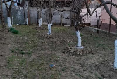 Casă cu Teren 5000 Mp în Bughea de Jos - 4