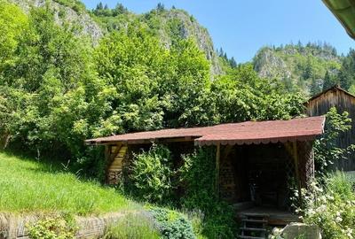 Casă cu 5 camere cu Teren 500 Mp în Central - 2