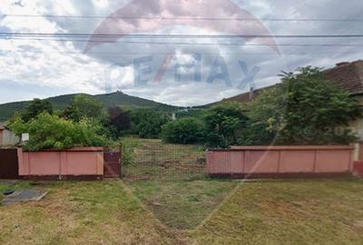 Teren Construcții intravilan de 1295 mp, în Șiria - 4