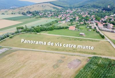 Teren Construcții intravilan de 1000 mp, în Bicfalău - 8