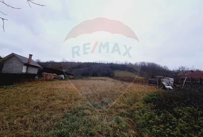 Casă  cu 2 camere si teren de vanzare - 5