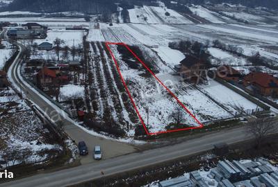 Teren de 2533 mp, în Tigveni - 8