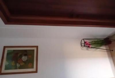 Apartament cu 2 camere semidecomandat în Central - 1