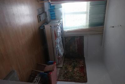 Casă cu Teren 2158 Mp în Comloșu Mare - 3
