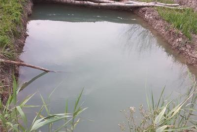 Casă cu 4 camere cu Teren 10000 Mp în Munteni - 4