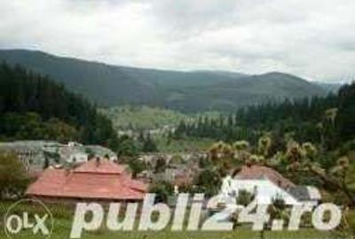 Casă cu 3 camere cu Teren 1150 Mp în Borsec - 4