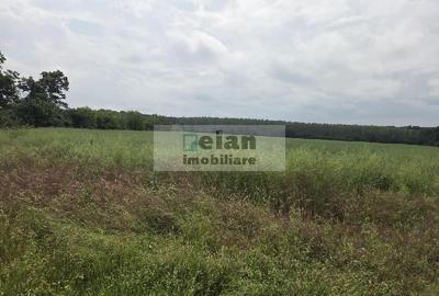 Teren Construcții intravilan de 700 mp, în Piscu - 2