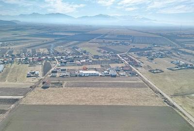 Teren Extravilan, P.U.Z. inceput - 13