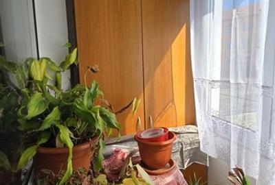 Apartament cu 3 camere semidecomandat în Central - 4