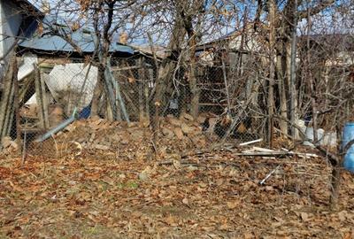 Vand casa batraneasca + teren intravilan - 4