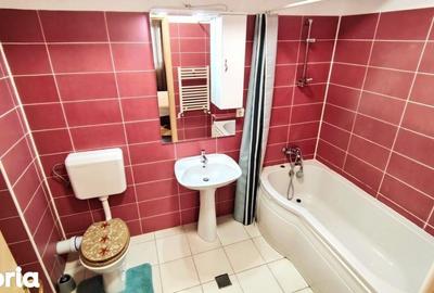 Apartament cu 2 camere, mobilat în Plevnei - 9