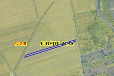 Teren de 3800 mp, în Vinerea