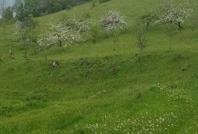 Vanzare casa 6 camere, 1 ha teren, 70m deschidere drum DN1R Matisesti, Jud. Alba - 6