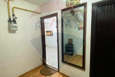Apartament cu 2 camere decomandat în Rovine - 9