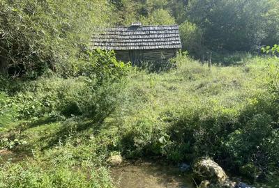 Casa de vanzare+terenuri - 3