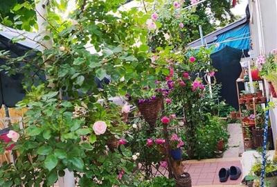 Oferta vanzare casa 3 camere zona Mihai Bravu//teren 250mp// deschidere 10ml - 2