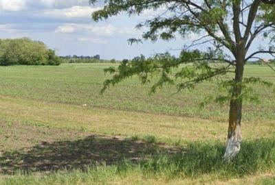 Teren extravilan Cocorastii Colt ; ID: R2710069 - 14