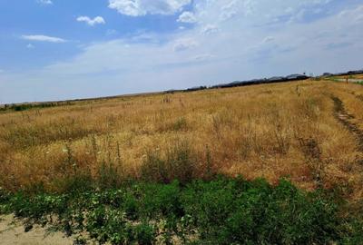 Teren de 415 mp, în Cârcea