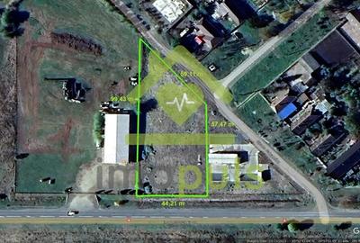 ? Teren intravilan in Biled, 38 euro/mp? - 3