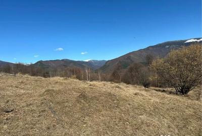 Teren de 29119 mp, în Nucșoara - 2