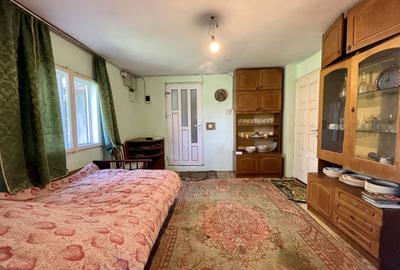 Teren Construcții intravilan de 12041 mp, în Dâmbovicioara - 12