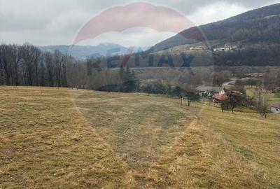 Teren Construcții intravilan de 7135 mp, în Negreni - 4