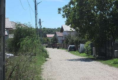 Domnesti Teghes-Padurarului - 14