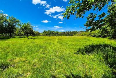 Teren intravilan Cotmeana Arges - 11