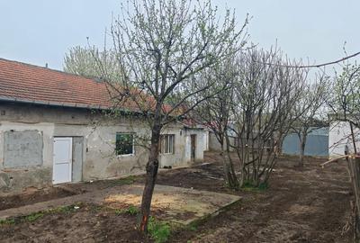 PROMO OFERTA Teren si casa caramida Radu Negru - Buzaului - 3