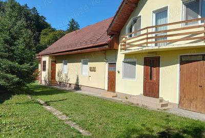 Casa frumoasa, ideala pentru 2 familii, zona linistita, localitatea Zizin, direct de la proprietar - 10