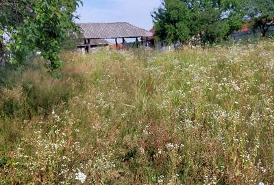 De vanzare teren cu casa. Calea Mare Nr.106 - 1