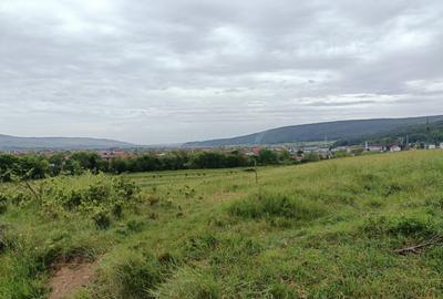 Oportunitate! Teren in Gilau, 2100 mp, toate utilitatile, ideal ansamblu privat - 3