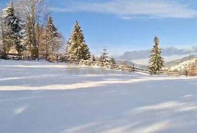 Teren 34,5 ari + cabana A-frame Colibita - ideal pentru resort, spa sau pensiune - 4