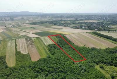 Teren de 15740 mp, în Central - 2