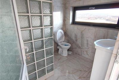 Spatiu comercial Lunca Cetatuii - langa Centura - 9