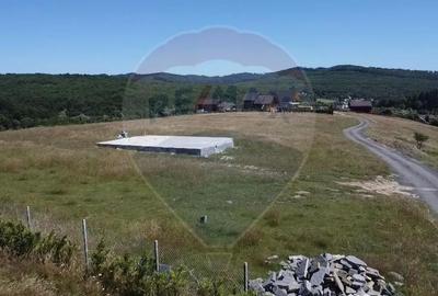 Teren de 3322 mp, în Paltin - 7