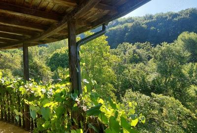 Casă cu 8 camere în Drajna - 5