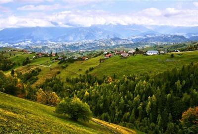 7.000 mp, pozitie spectaculoasa, fara vecini, Fundatica, Brasov - 1